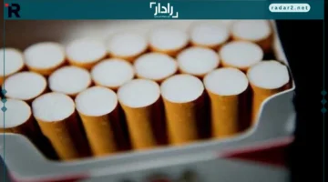 أسعار اليوم.. تحديث جديد لأسعار السجائر في السوق المصري الجمعة 14 نوفمبر 2025